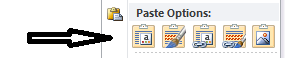 paste options